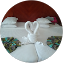 Sean Lee profile picture