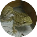 Ben Coles profile picture